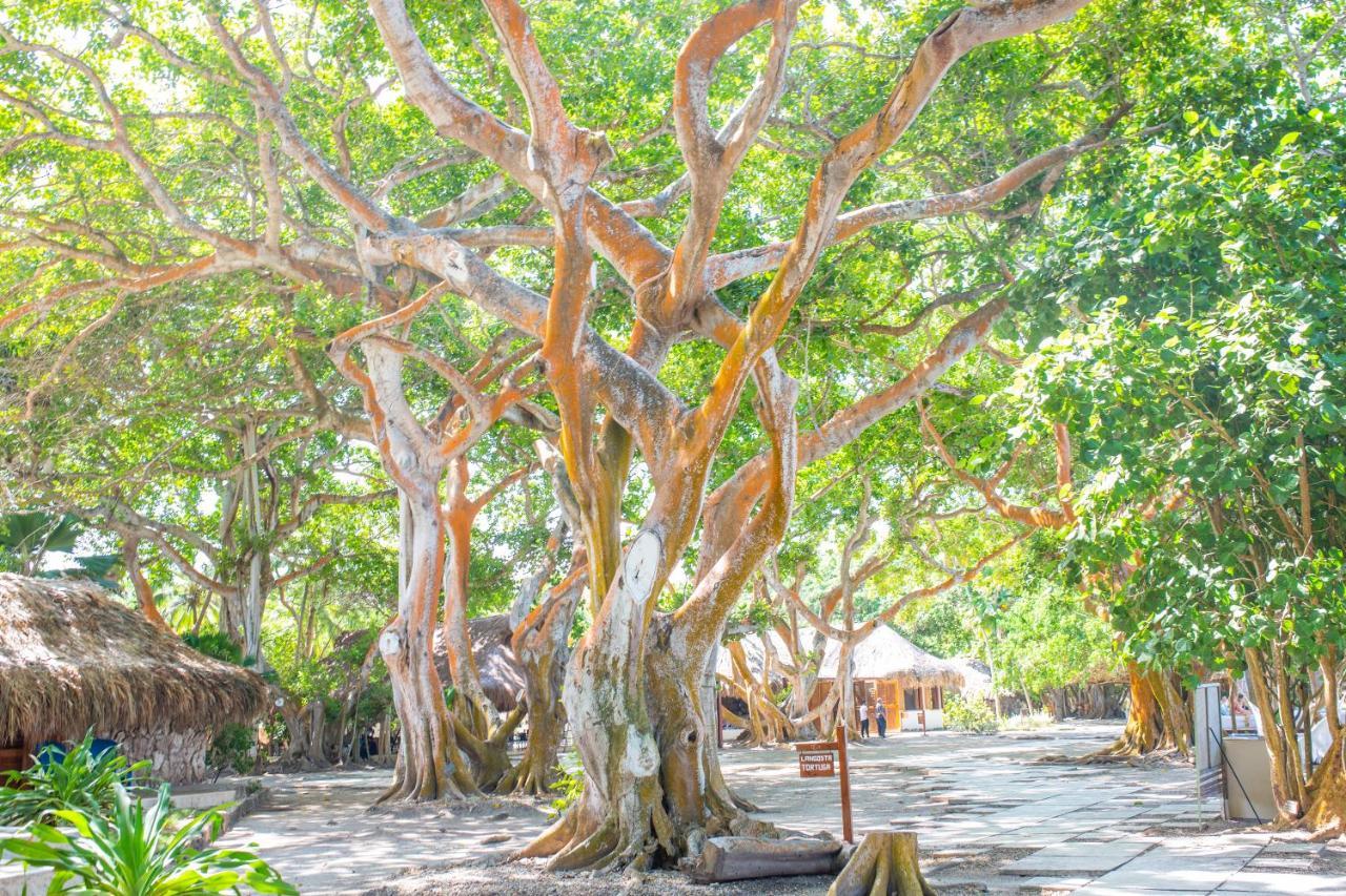 Hotel San Pedro De Majagua Isla Grande  Dış mekan fotoğraf