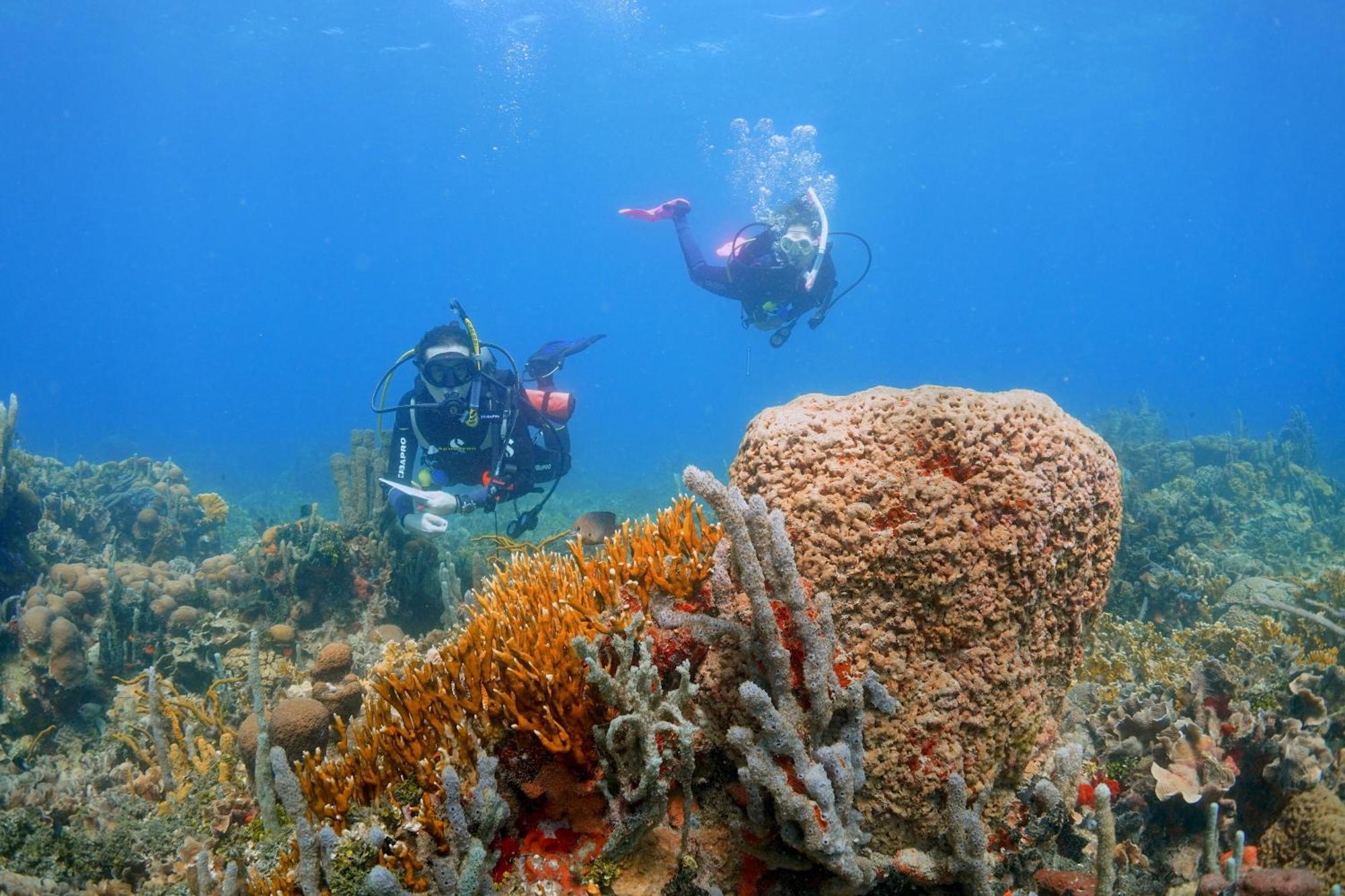Hotel San Pedro De Majagua Isla Grande  Dış mekan fotoğraf